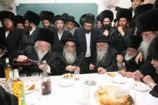 בעל החדושים ובאורים מרן הגרחש גריינימן  (19).png