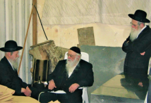 בעל החדושים ובאורים מרן הגרחש גריינימן (1).PNG