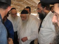 תלמידי מרנא החזוןאיש ותלמידי תלמידיו שיבדלא (57).jpg