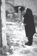 וולבה רשו3.png
