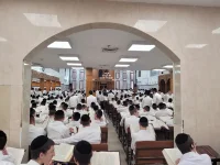 תושיה תפרח2.webp