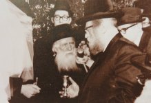 הרב כהנמן999.JPG