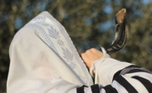 ביאורים באיסור תקיעת שופר בשבת