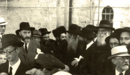 ראזמ333.png