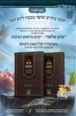 ספרים הינוקא.png