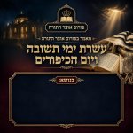 קללות של פרשת נצבים, יחיד ורבים