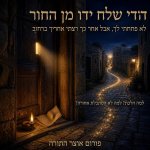 דודי שלח 2.jpg