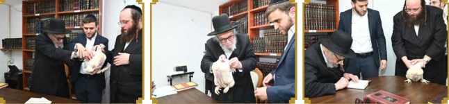 רמהה בכפרות.png