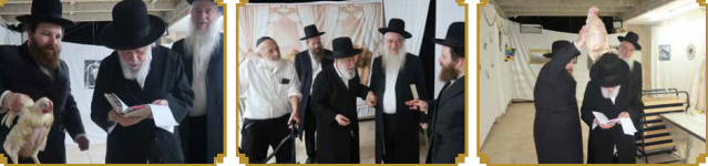 ריז בכפרות.png