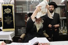 אדמור ממשכה.JPG
