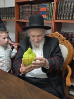 אתרוג רבי משה הלל הירש.png