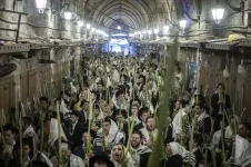 הורדה (1).webp