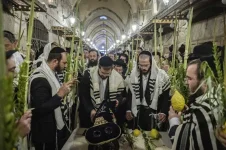 הורדה (3).webp