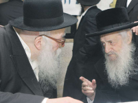 רנק14.png