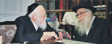 רנק12.png