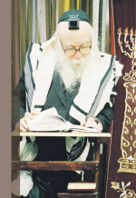 רנק20.png