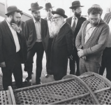 רנק38.png