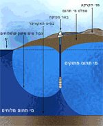 8775_M[1].jpg
