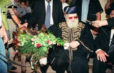 פדיון חמור.jpg