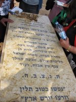 תמוונה יפה.JPG