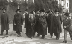 האמרי אמת קהל.png