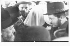 הגרי''ז בחופת הגרי''ד.jpg