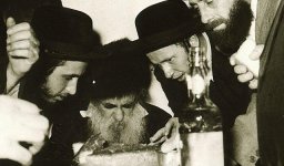 רא מבעלז.jpg