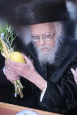 הרב אלישיב.jpg
