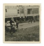 הסטייפלר בדרך לשריפת חמץ.jpg