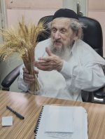 רשכבה''ג עם קציר חיטים לקראת חג השבועות.jpg