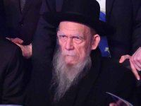 אדלשטיין2.jpg