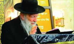 מרן שר התורה והתפילה מרן גאון ישראל הגאון הגדול רבי ישראל יצחק קלמנוביץ.png