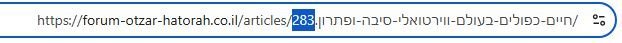 מספר המאמר.JPG