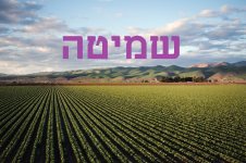בעניין חישוב שנת השמיטה כיום