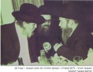 רגא עם הריד מבריסק.jpg