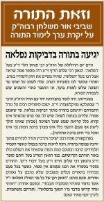 הפלאה.jpg