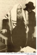 הסטייפלר.jpg