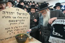 הורדה (2).webp
