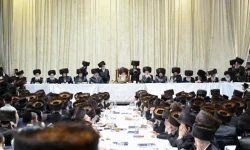 הורדה (5).webp