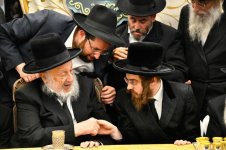 עם האדמו''ר מסאדיגורה.jpg