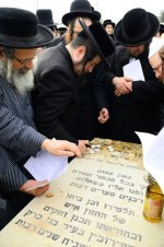 נתן פריד.jpeg