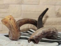 בגדר קול שבר בתקיעת שופר