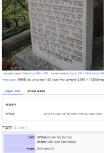 צילום מסך 2025-09-02 192102.png