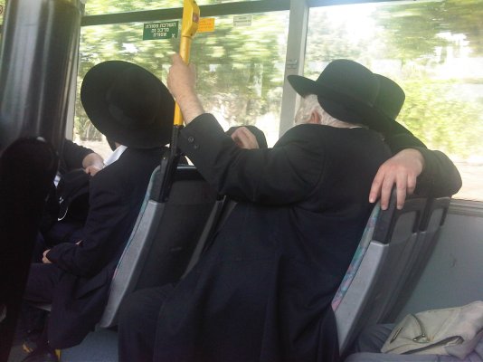 IMG01533-20120503-1341.jpg