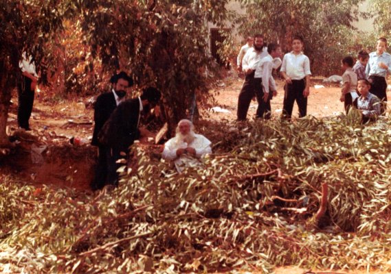 הגרשי''ח 10.jpg