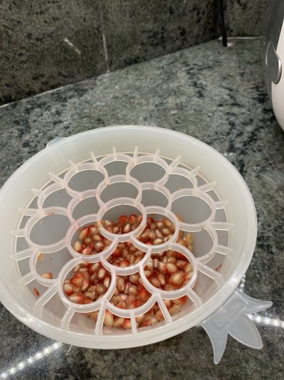 רימון 2.jpg