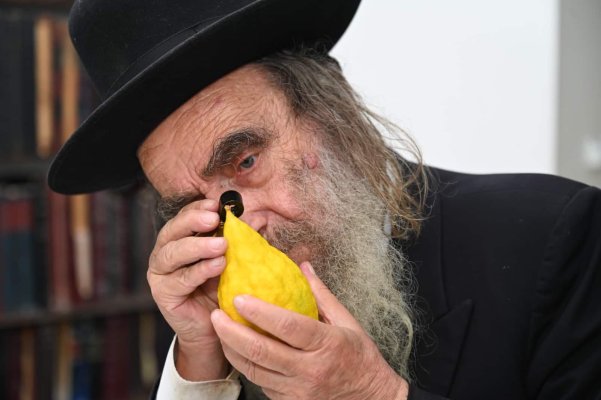 רבי נתן הכהן קופשיץ פורום אוצר התורה (13).jpg