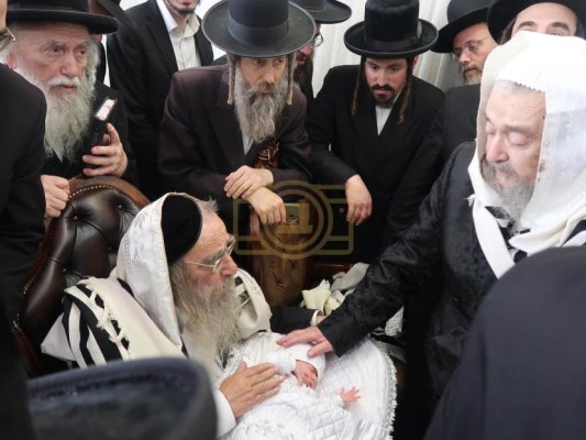 רבי נתן קופשיץ סנדק.jpg