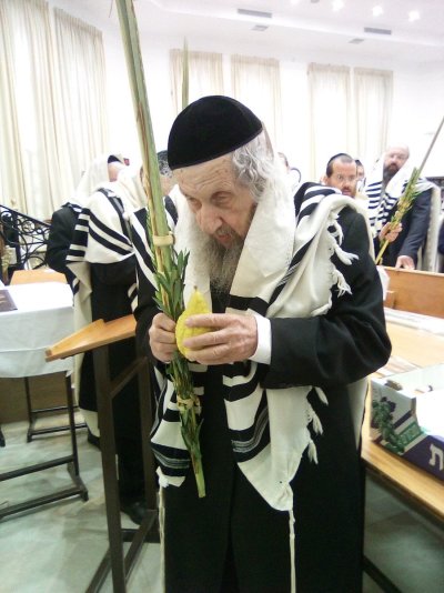 בנטילת ד' מינים.jpeg