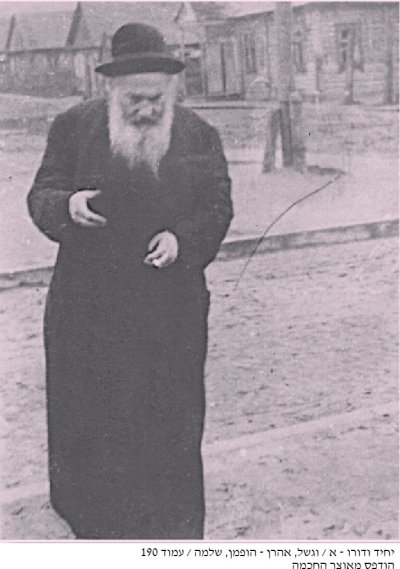 רא וסרמן666.jpg